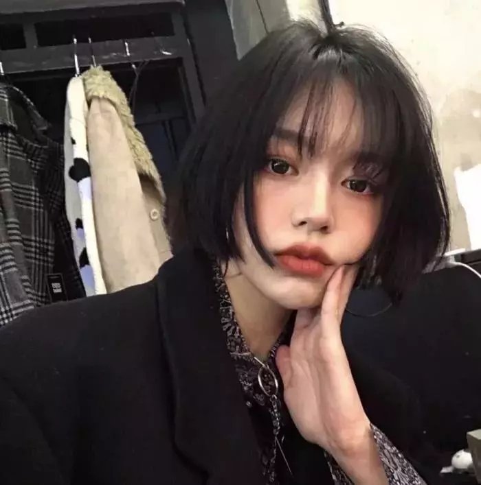 明月守护者